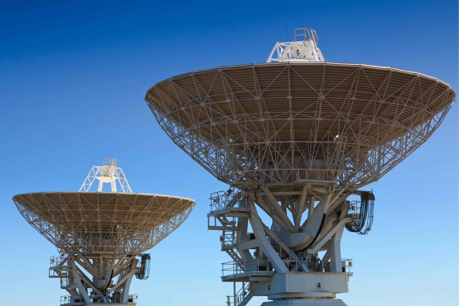 Close-up view of top parts of two antennae