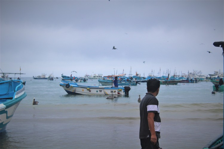 fishing boats in Puerto Lopez