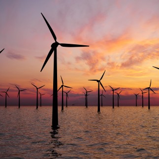 wind farm in the sunset