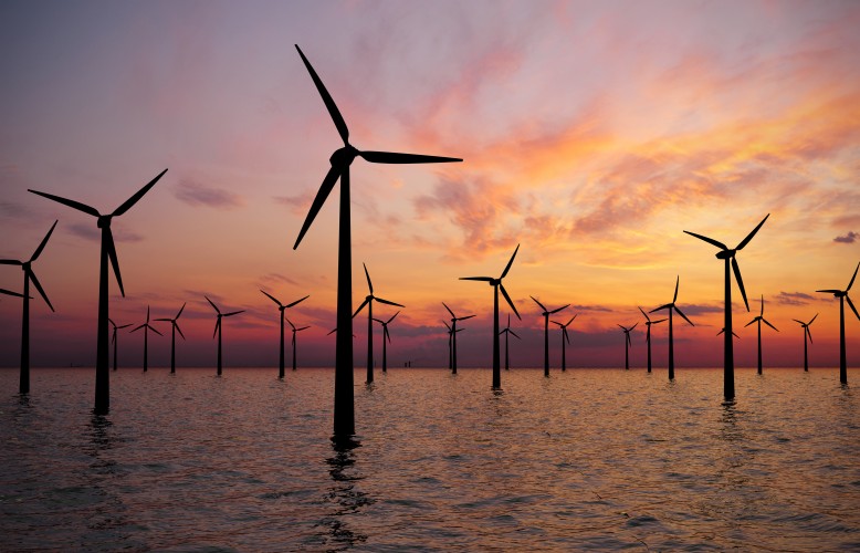 wind farm in the sunset